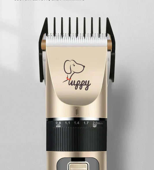 Comment Tondre Son Chien à la Maison : Le Guide Facile pour un Toilettage Réussi - Noble Truffe