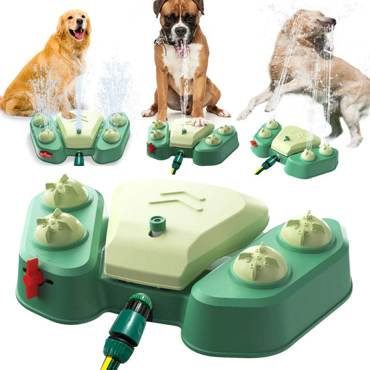 Fontaine-à-eau-pour-chien-un-jeu-d-extérieur-intelligent-pour-hydrater-et-stimuler-votre-compagnon Noble Truffe