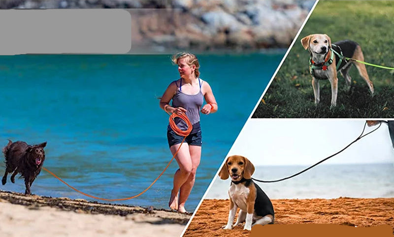 une Une dame balade son chien au bord de la mer avec la longe pour chien 9 M. Elle existe aussi en 1m50, 3 M et 6 M. Le chien se sent en liberté.