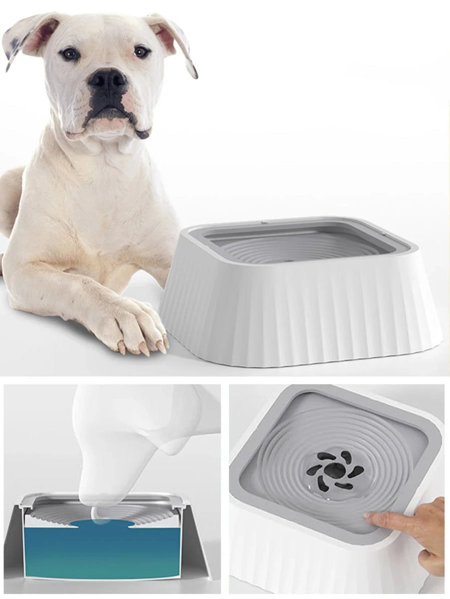 Gamelle stable anti fuite pour chien
