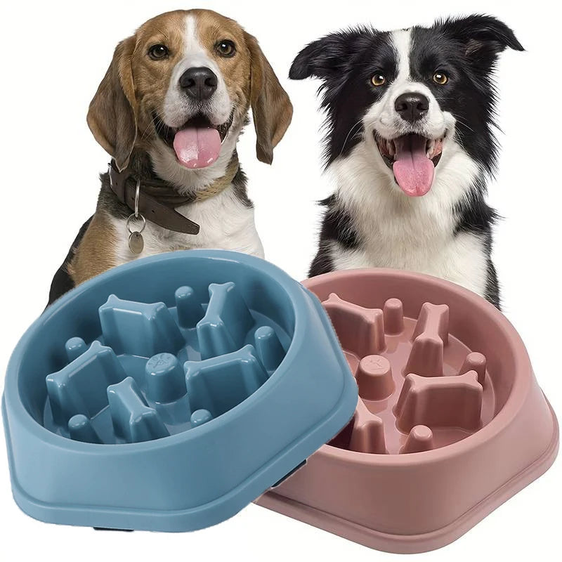 Deux chiens utilisant gamelle anti-glouton pour manger lentement afin d'évité les indigestions