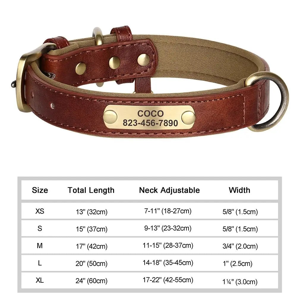 Collier pour Chien Prénom Personnalisé. Pour Petit et Moyen Chien - Gravure sur plaque incluse - Noble Truffe