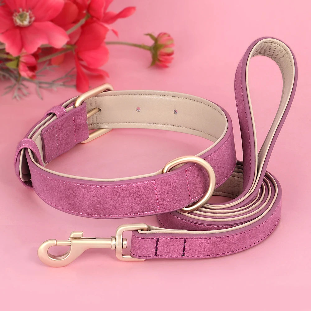 Collier pour chien en cuir rembourré, confortable et réglable rose foncé