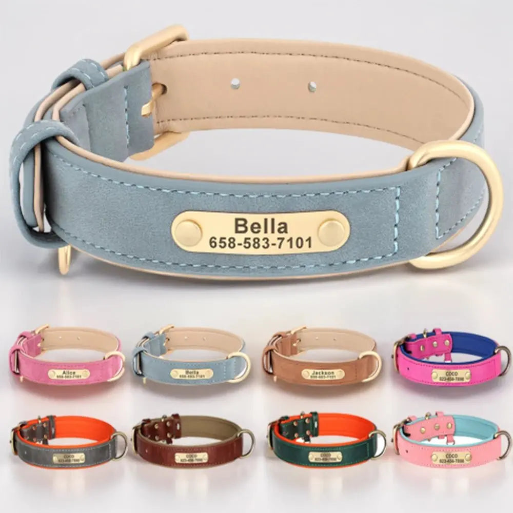 Collier pour chien bleu clair gravé avec prénom sur plaque