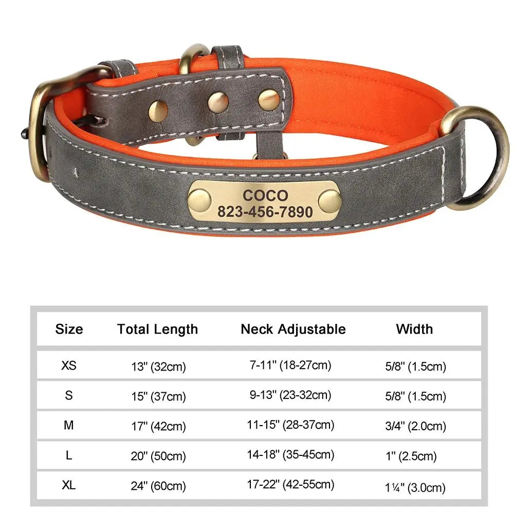 Collier pour Chien Prénom Personnalisé. Pour Petit et Moyen Chien - Gravure sur plaque incluse - Noble Truffe