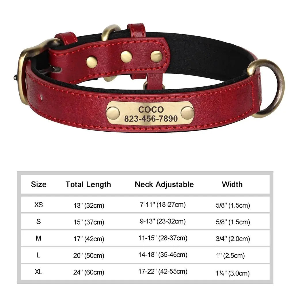 Collier pour Chien Prénom Personnalisé. Pour Petit et Moyen Chien - Gravure sur plaque incluse - Noble Truffe