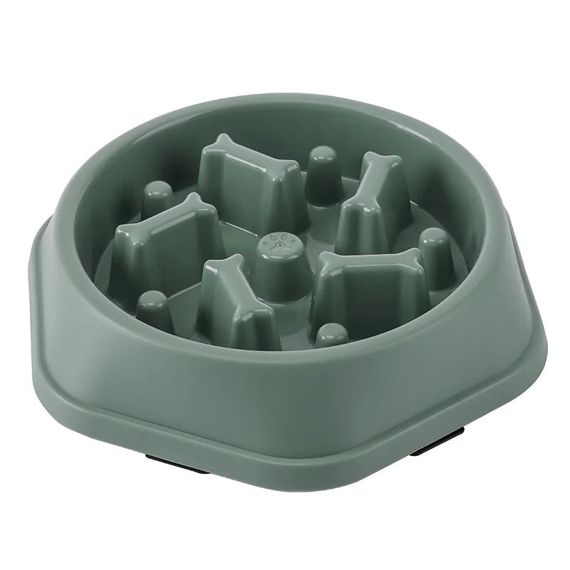 Lot gamelle anti-glouton couleur verte et bleue, chien petit ou moyen