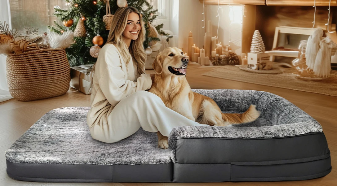 Lit taille humaine pour chien sous un sapin de Noël. Idée cadeau confort pour l’hiver.