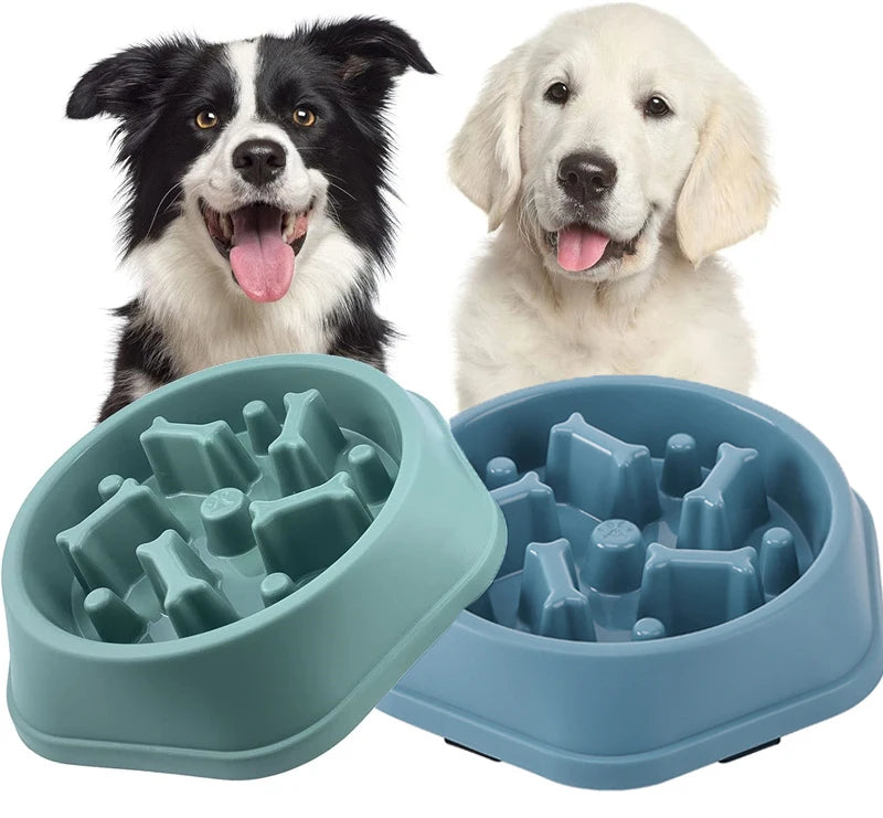 Deux chiens utilisant des gamelles anti glouton pour chien