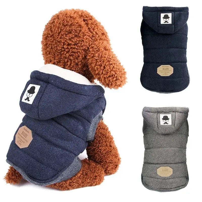 Manteau pour chien de petite taille - Doudoune hiver à capuche | Noble Truffe - Noble Truffe