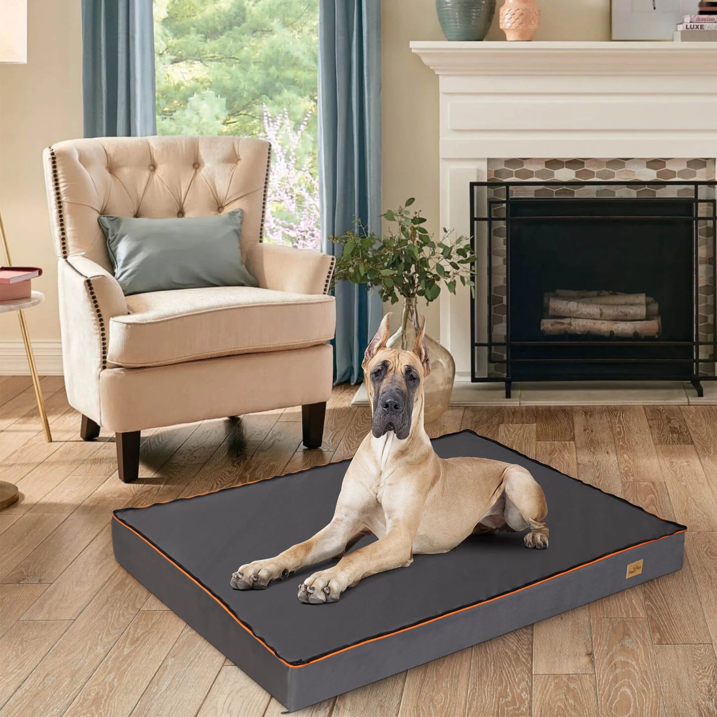 Lit orthopédique pour chien – Confort absolu et soutien articulaire