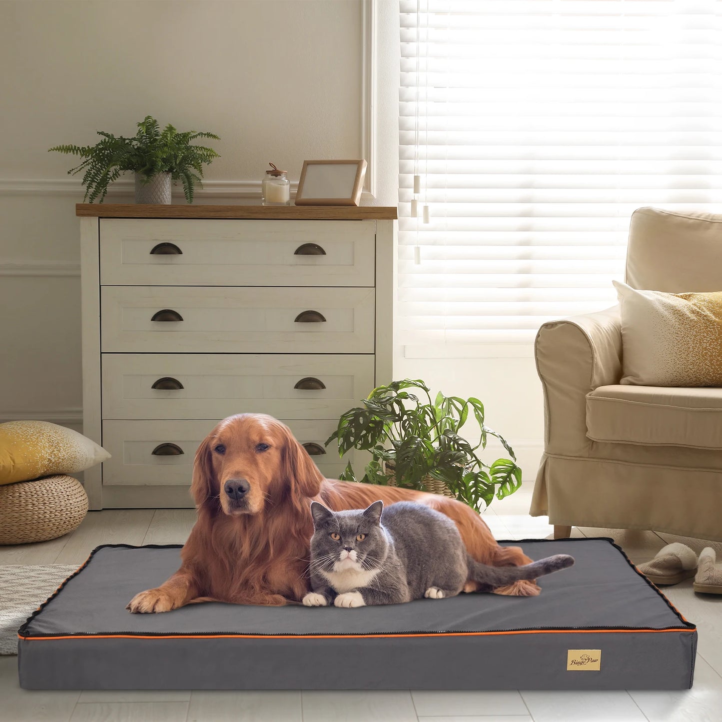 Lit orthopédique pour chien – Confort absolu et soutien articulaire