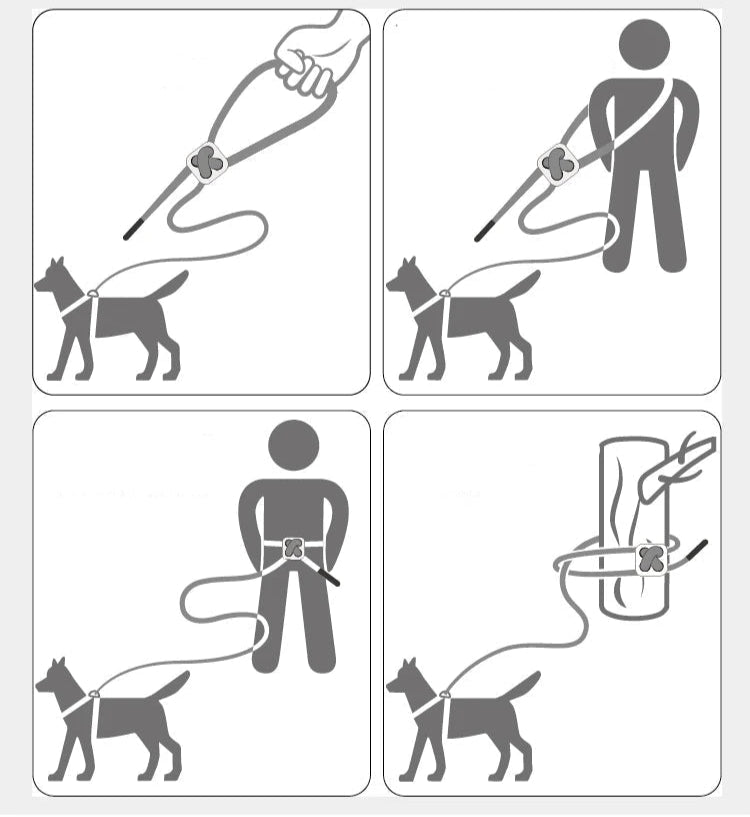 Schéma explicatif pour l'utilisation du harnais sur un petit chien ou moyen chien