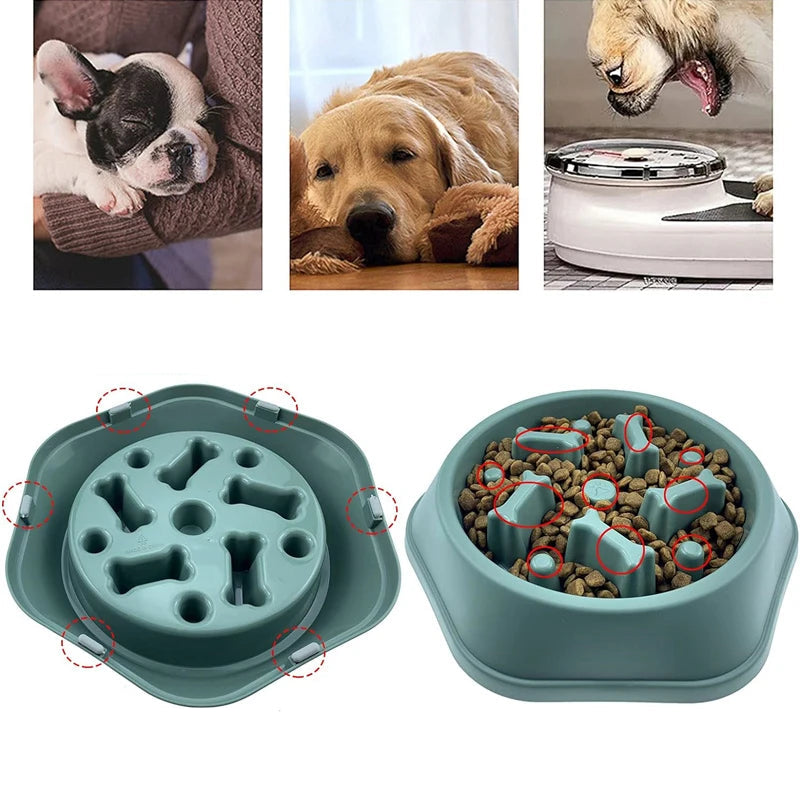 Ensemble de 3 gamelles anti-glouton pour chien en plusieurs couleurs avec explication des bienfaits
