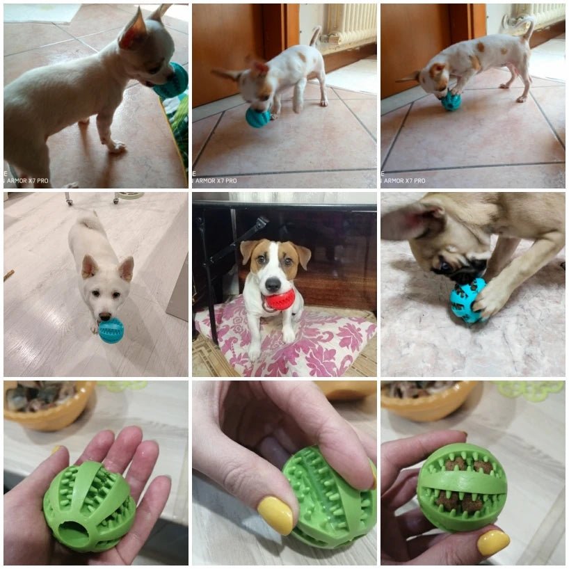 Balle Distributrice de Friandises – Jouet d’Éveil pour Chien | Noble Truffe - Noble Truffe