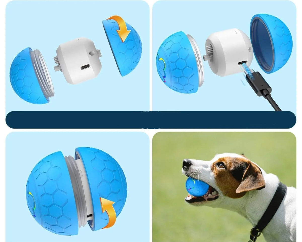 Balle interactive pour Chien – Balle Intelligente Rebondissante avec LED - Noble Truffe