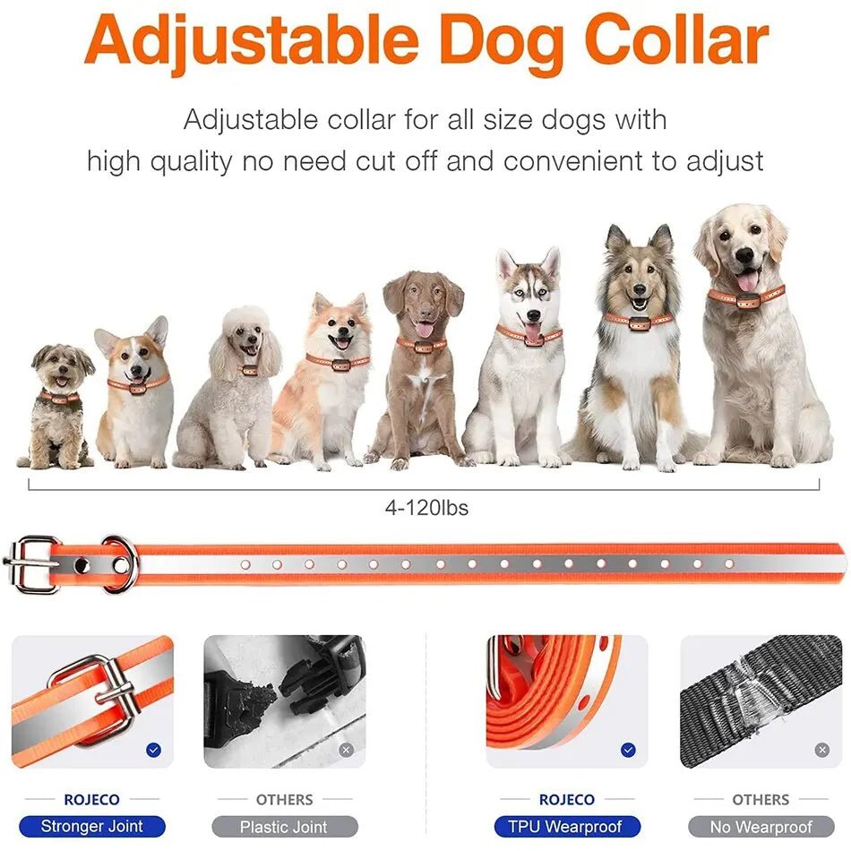 Collier de Dressage ROJECO PD529 – Télécommande 1000m & Modes Réglables | Noble Truffe - Noble Truffe