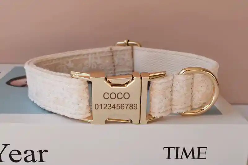 Collier pour Chien en Dentelle Crème – Gravure Prénom & Laisse Assortie - Noble Truffe
