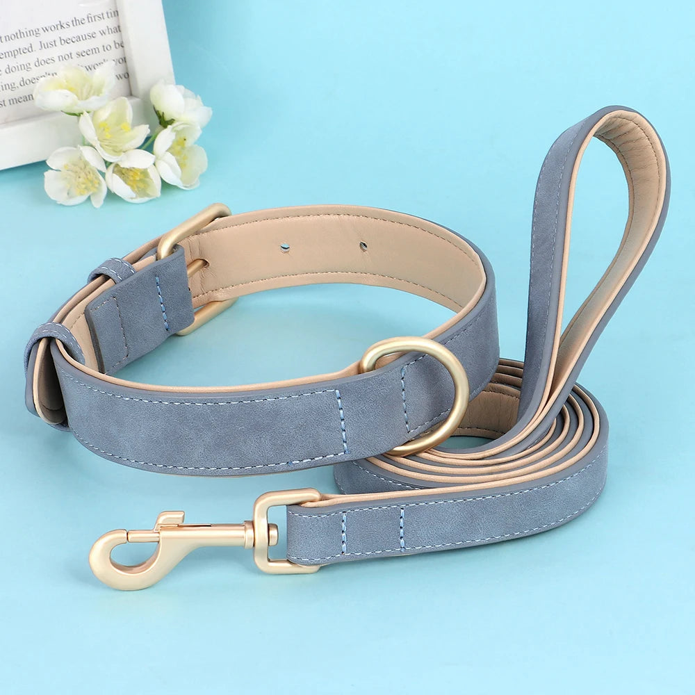 Collier pour chien bleu avec boucle en métal doré et ajustable