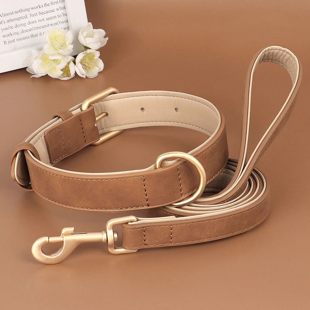 Collier marron pour chien, en cuir robuste et réglable