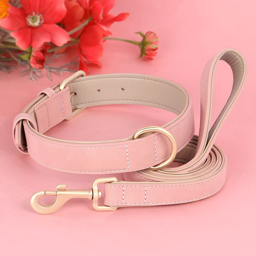 Collier rouge élégant pour chien avec boucle dorée robuste