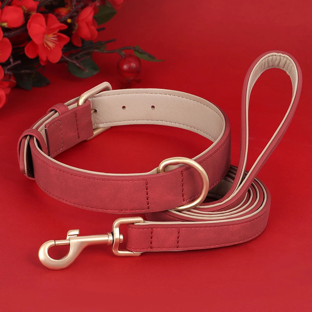 Collier pour chien violet en cuir rembourré, confortable et réglable