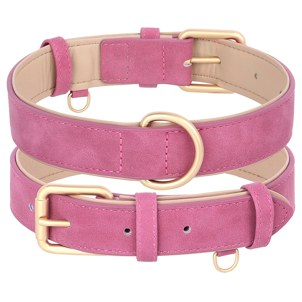 Collier en cuir pour chien solide, doux et agréable