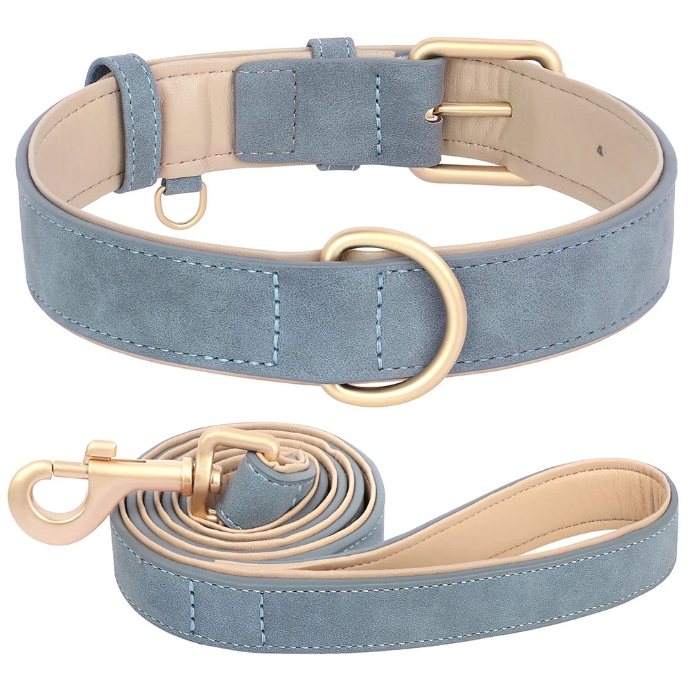 Collier bleu pour chien et laisse assortie, design élégant et doux