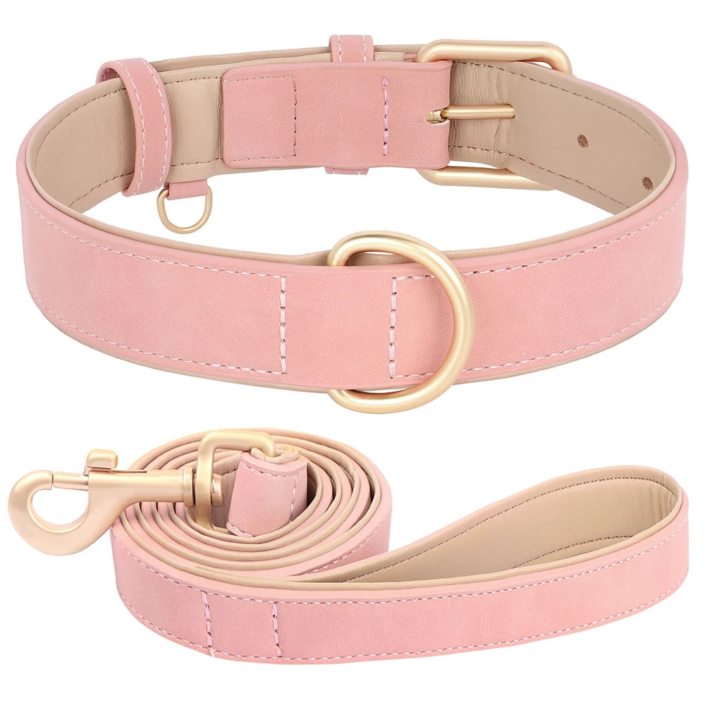 Collier et laisse rose clair pour chien, parfait pour une touche élégante