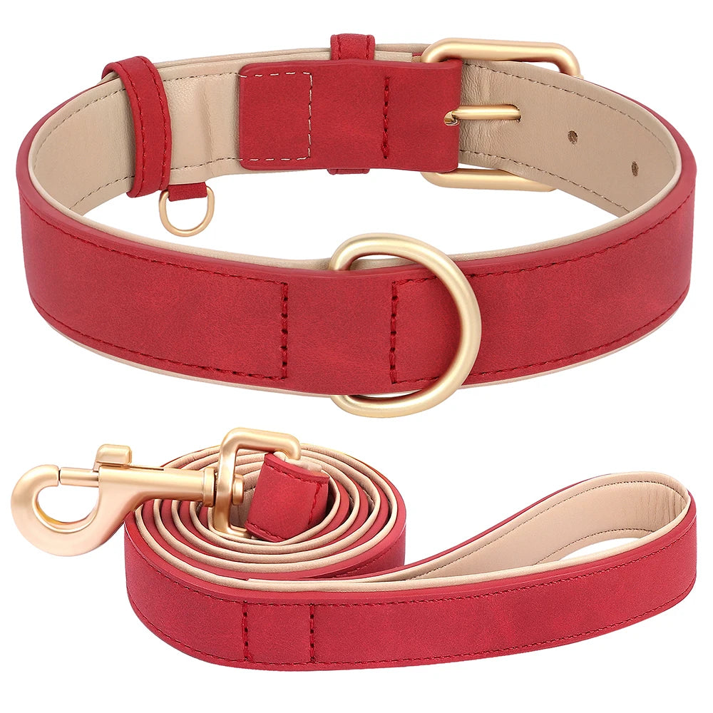 Collier et laisse rouge en cuir pour chien, look stylé et solide