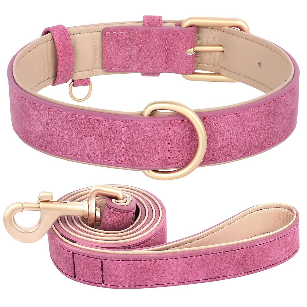 Collier et laisse violets assortis pour chien, en cuir doux et confortable