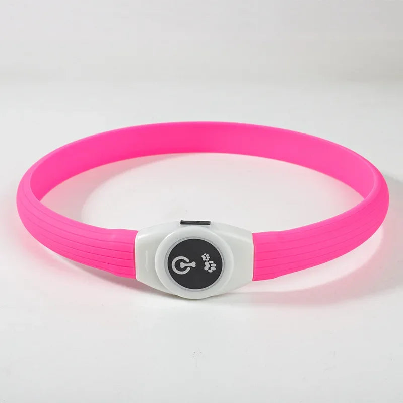 Démonstration du branchement USB d’un collier pour chien LED rechargeable