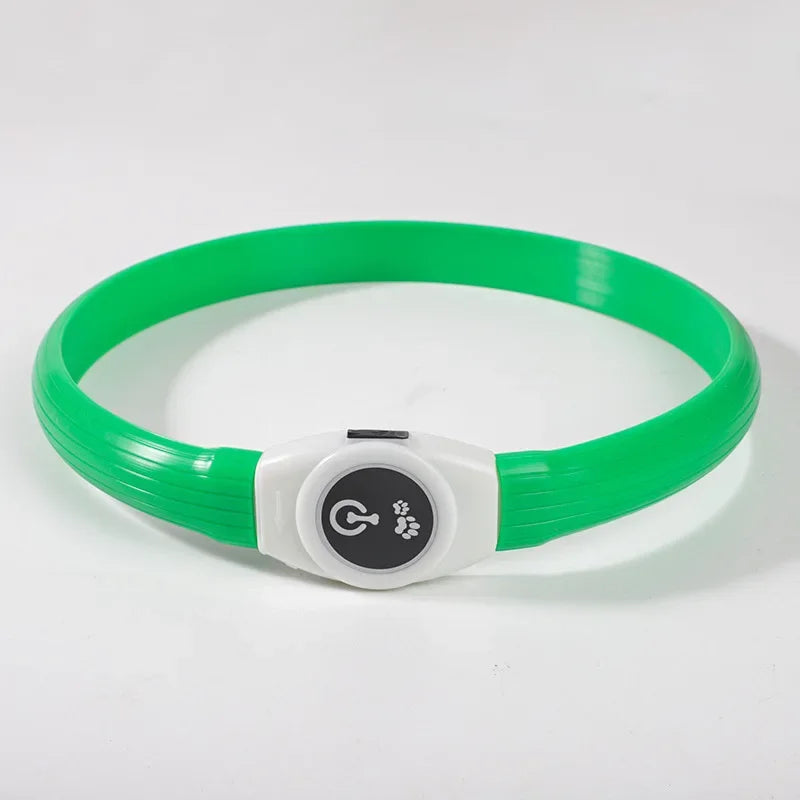 Collier pour chien LED vert USB étanche, parfait pour promenades nocturnes