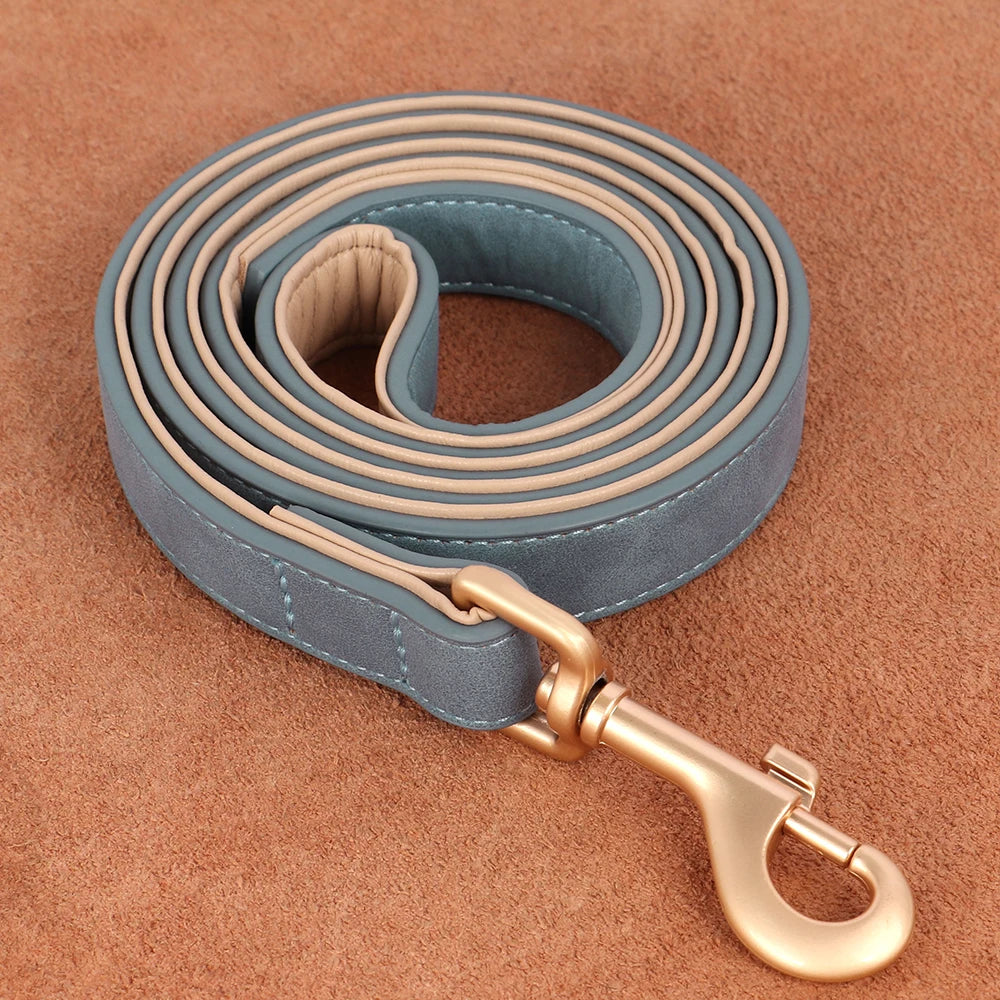 Vue d’ensemble des colliers pour chien avec laisses assorties en plusieurs couleurs