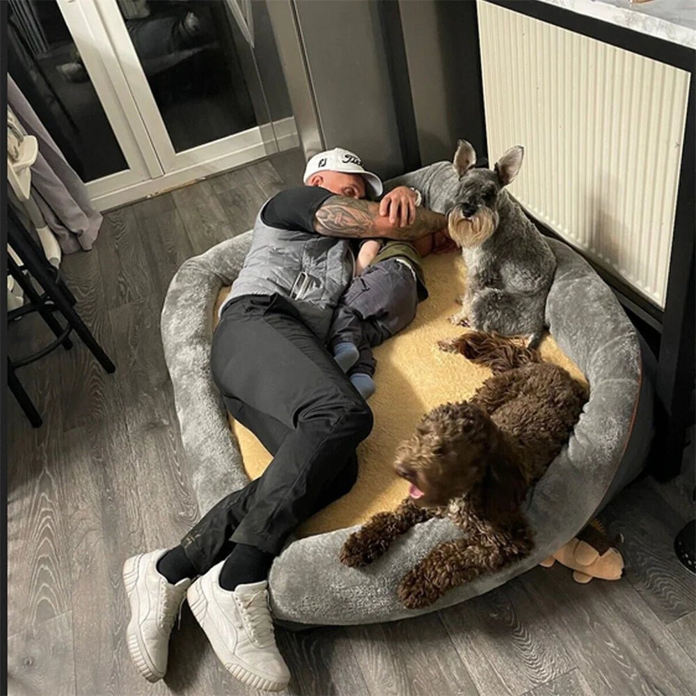 Coussin Orthopédique pour chien Mémoire de Forme – Dehoussable | L à 3XL - Noble Truffe