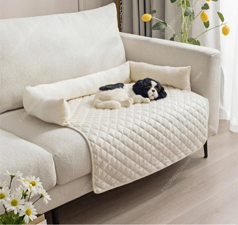 Coussin pour Chien avec Dossier – Confortable, Léger et Lavable - Noble Truffe