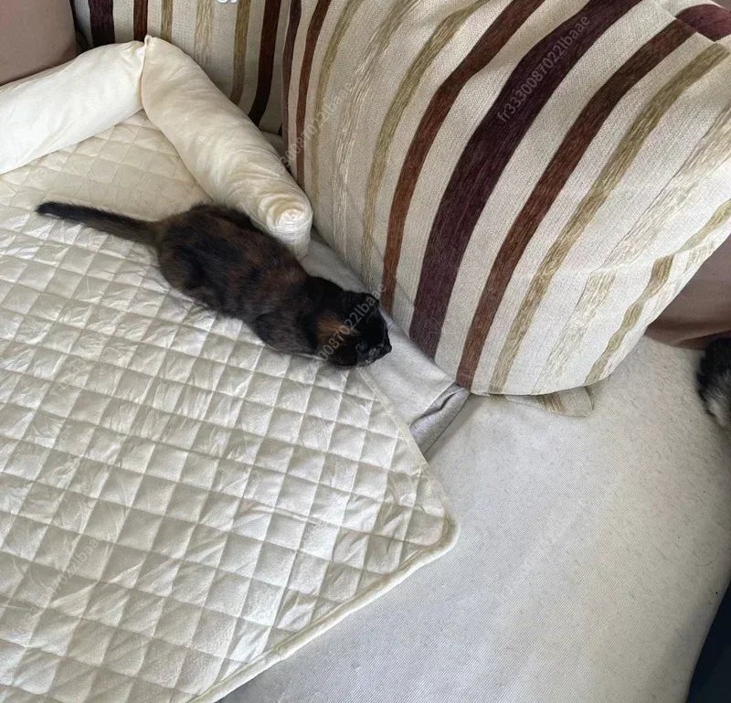 Coussin pour Chien avec Dossier – Confortable, Léger et Lavable - Noble Truffe