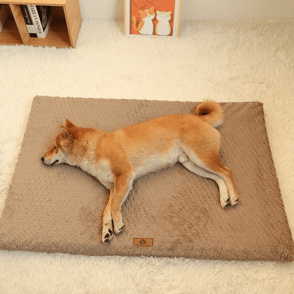 Coussin pour Chien Déhoussable – Rectangulaire, Doux et Lavable - Noble Truffe