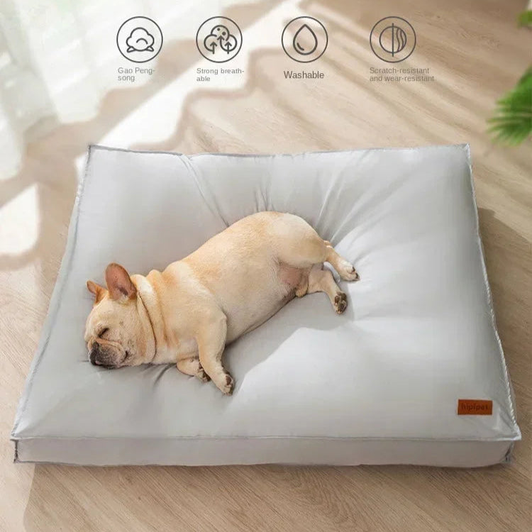 Chien couché sur un coussin orthopédique imperméable pour chien, offrant soutien et confort articulaire.