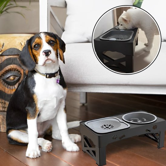 Gamelle Réglable pour chien – Double Bol + Antiglouton + Hauteur Ajustable - Noble Truffe