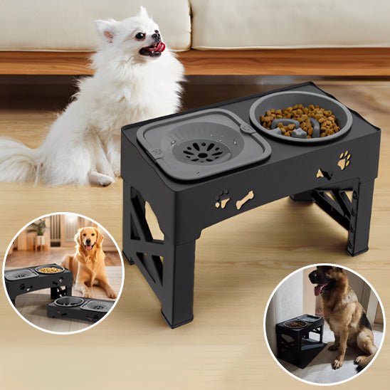 Gamelle Réglable pour chien – Double Bol + Antiglouton + Hauteur Ajustable - Noble Truffe