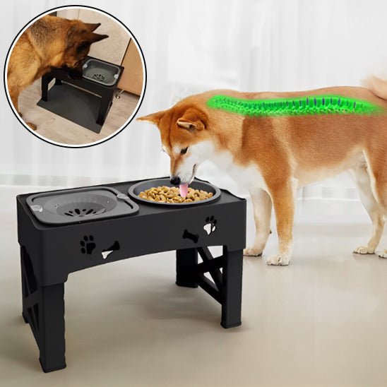 Gamelle Réglable pour chien – Double Bol + Antiglouton + Hauteur Ajustable - Noble Truffe