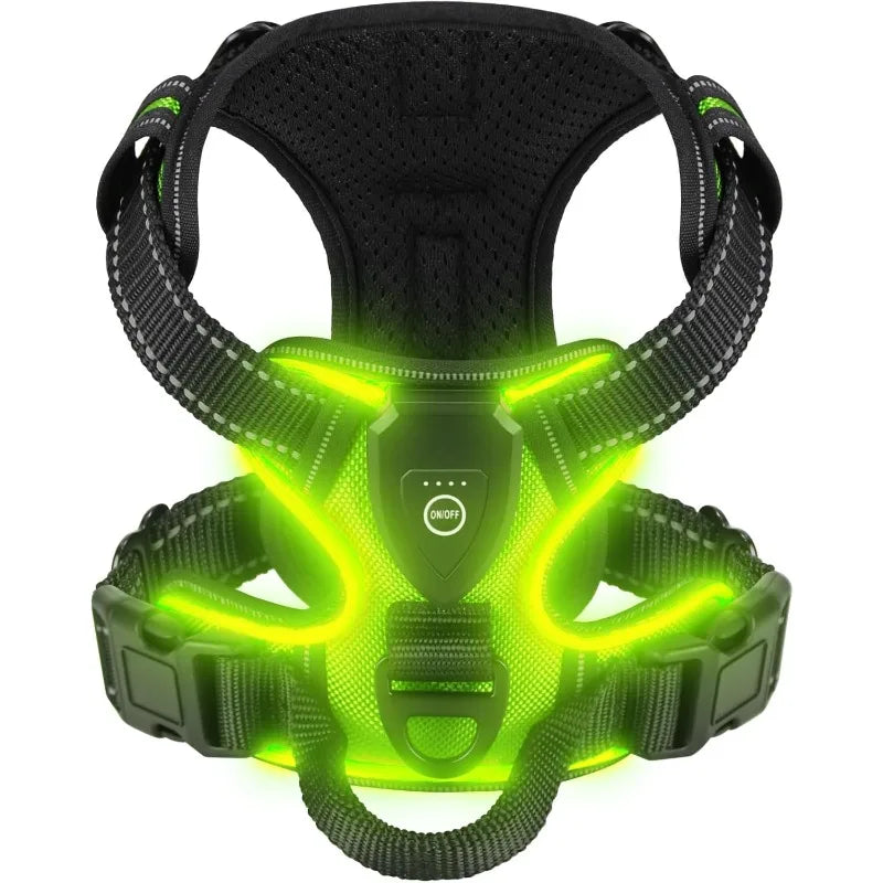 harnais lumineux pour chien vert avec LED rechargeables et design confortable