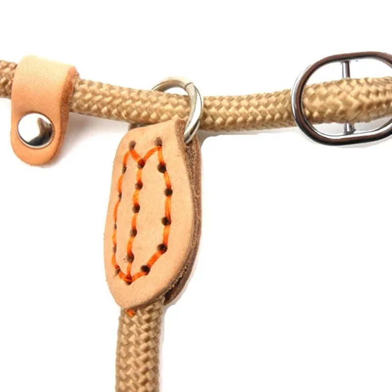 Laisse Lasso pour Chien - En Corde de Nylon, Coulissante et Ajustable - Noble Truffe