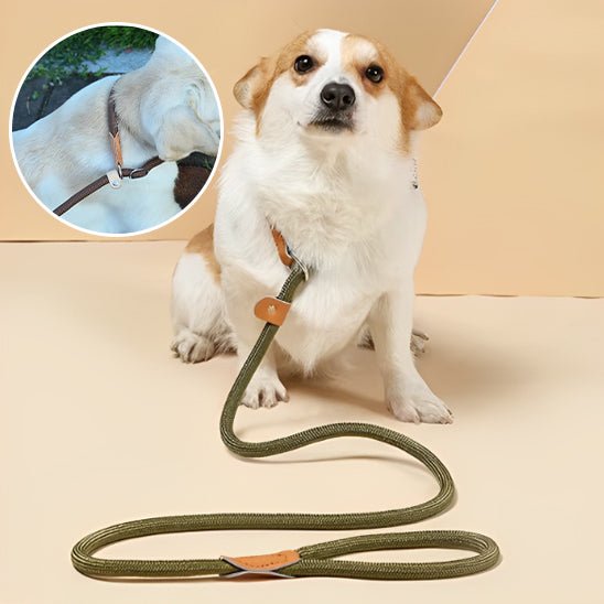 Laisse Lasso pour Chien - En Corde de Nylon, Coulissante et Ajustable - Noble Truffe