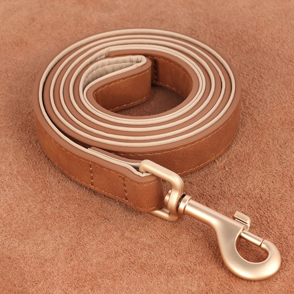 Laisse en cuir marron pour chien avec boucle dorée sécurisée