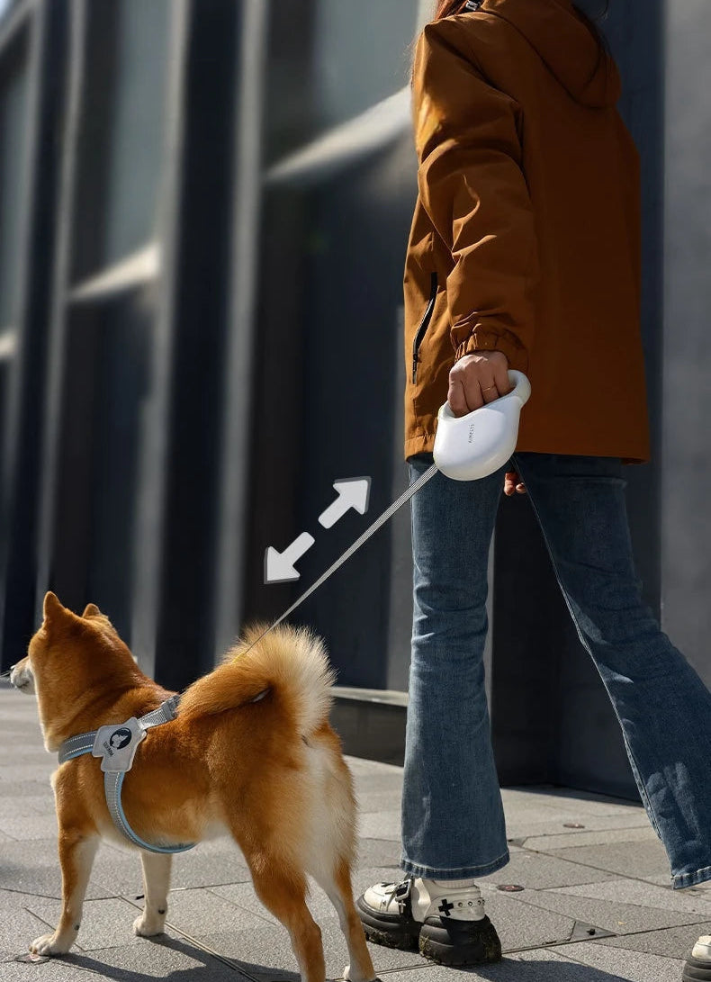 Maître promenant son chien en ville avec une laisse pour chien enrouleur ergonomique