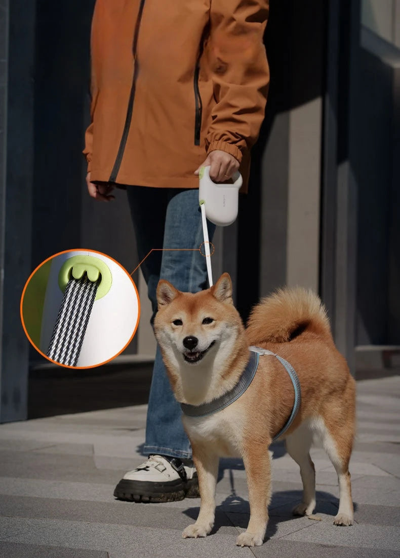 Promenade urbaine d’un chien équipé d’une laisse pour chien enrouleur blanche