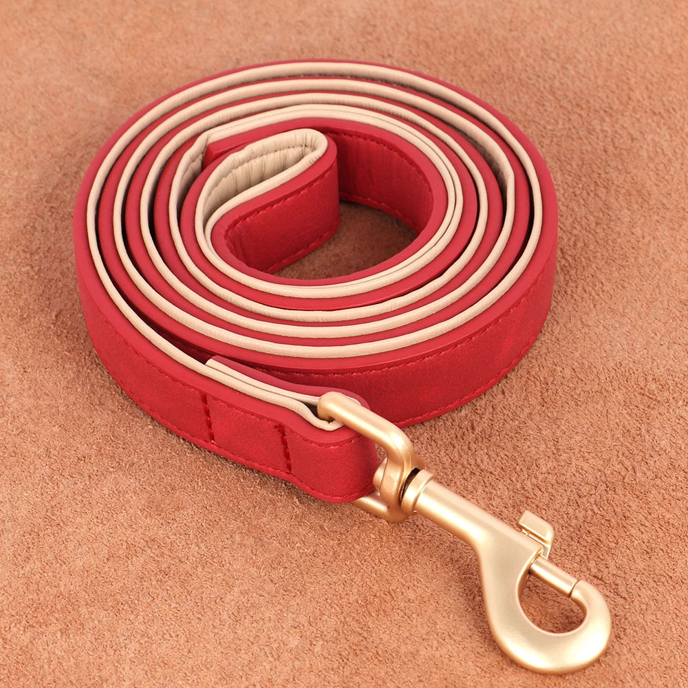 Laisse rouge pour chien en cuir de 120 cm avec mousqueton doré