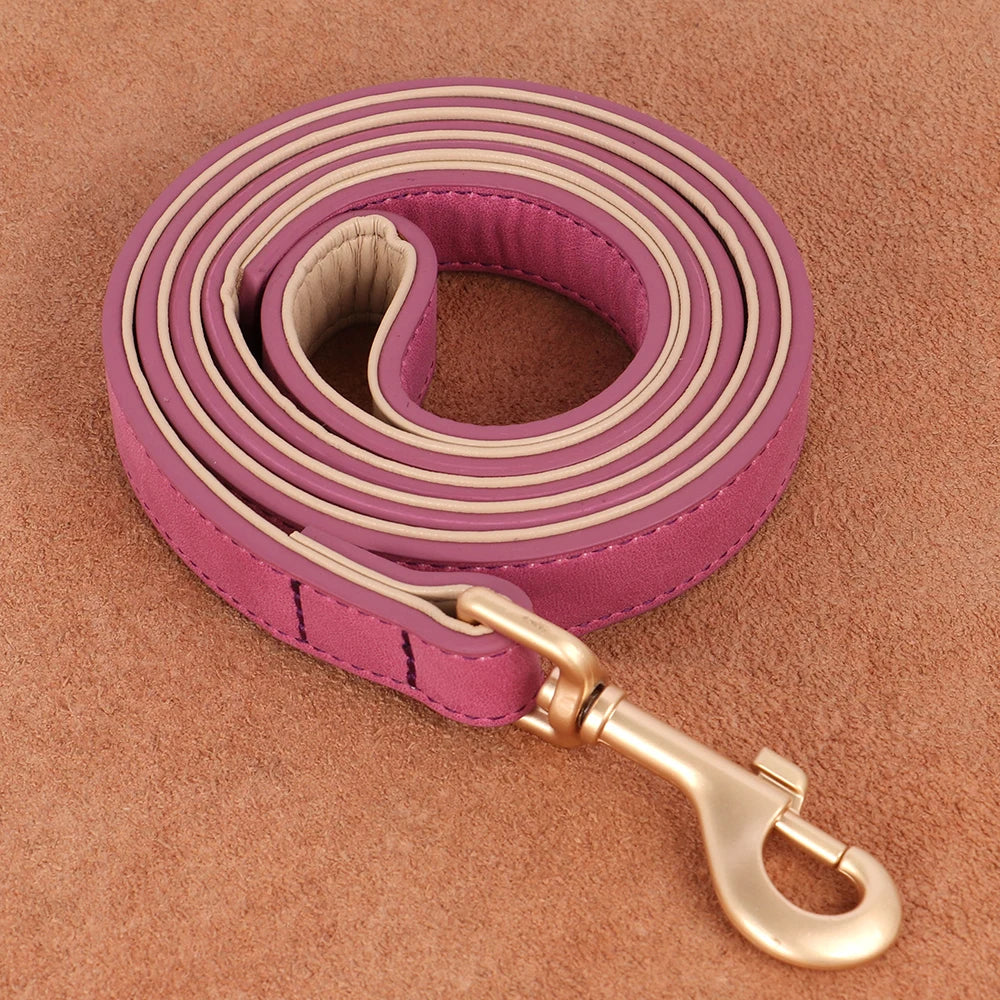 Laisse violette assortie à un collier chien, douce et résistante
